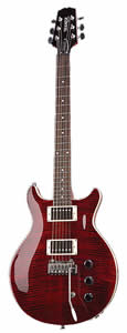 Sunburst Archtop Wilkinson