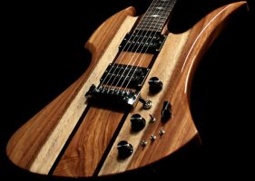 《むしろ定番》ほとばしる個性を放つ変形ギターの世界