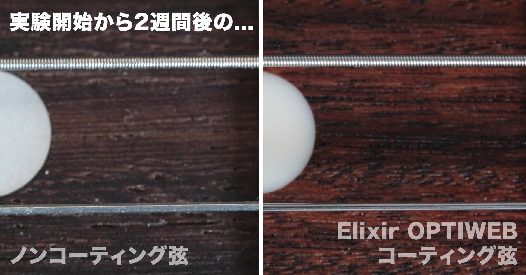 ノンコーティング弦 vs エリクサーOPTIWEBコーティング弦